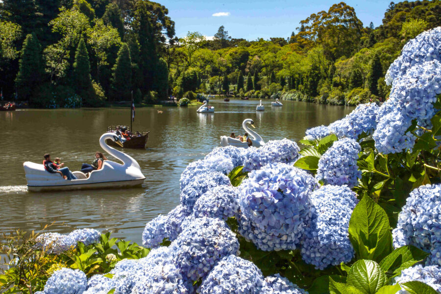 Imagem Lago Negro